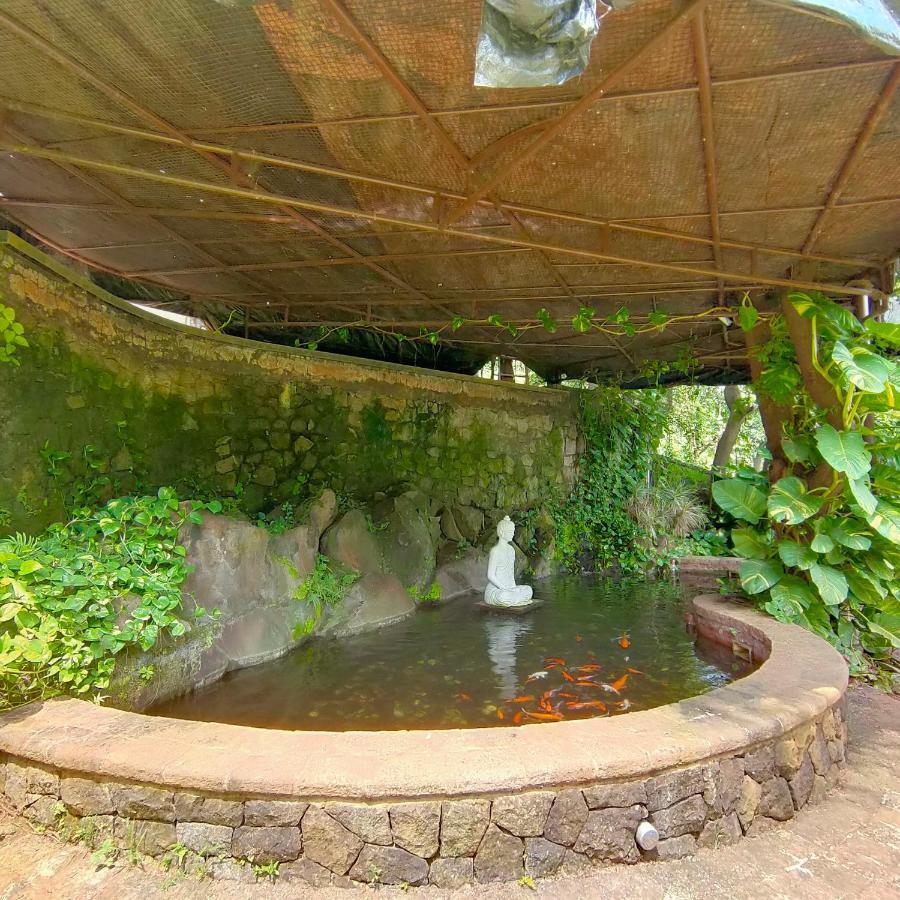 Silverador Resort Thane Dış mekan fotoğraf